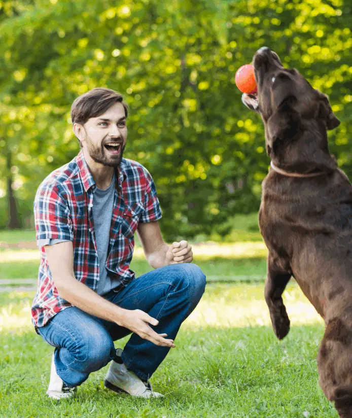 Peppy Pet Ball